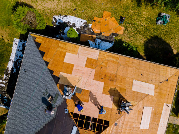 Best Slate Roofing Contractor  in Brunswick, GA
